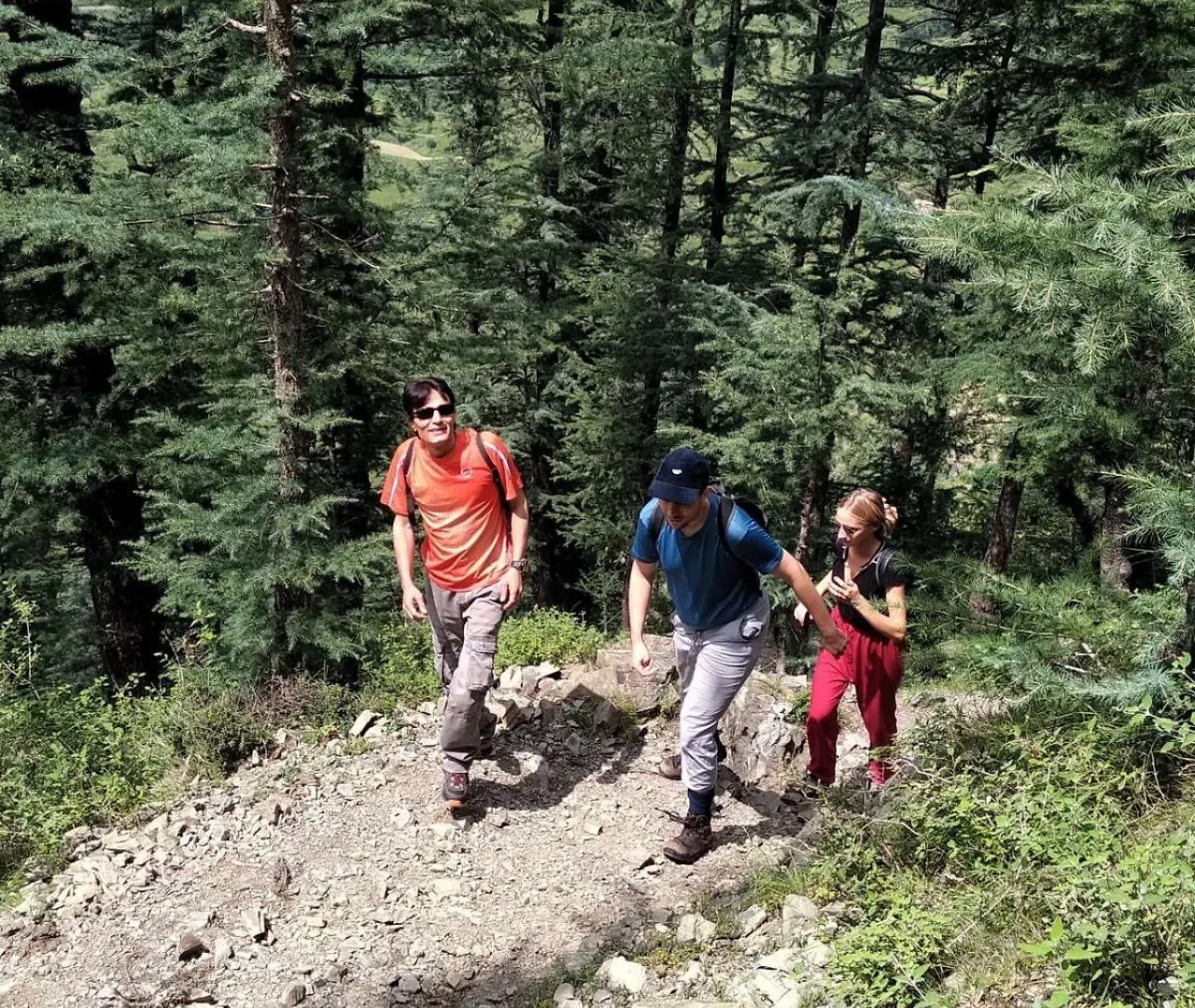 Hassan Valley Resort - A Beautiful Resort In The Clouds Towards Snow Capped Mountains Shimla